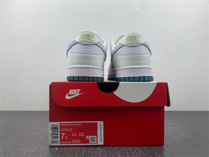 NIKE DUNK LOW 2023 FD9911- Breathable 4642