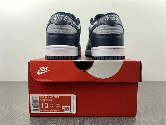 Nike Dunk Low Georgetown DD1391- WaterResistant 4825