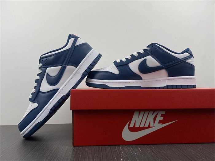 Nike Dunk Low Valerian Blue DD1391- Practical 4819